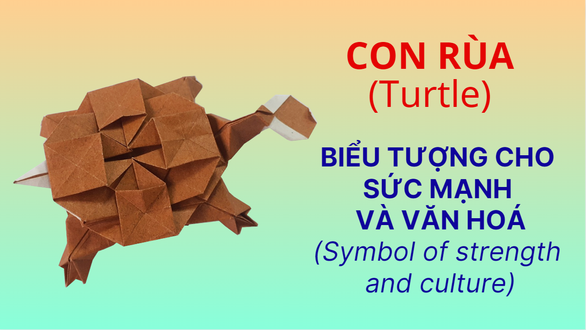 Video 29: Con rùa - The Art of Paper Folding: Turtle